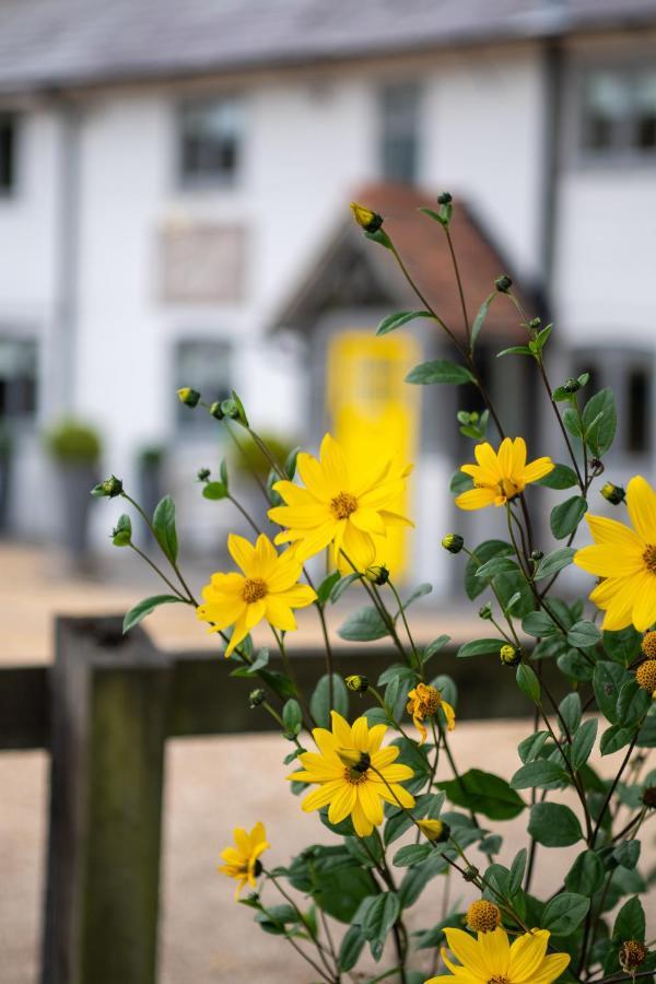 Cottage Lodge Hotel Brockenhurst Dış mekan fotoğraf